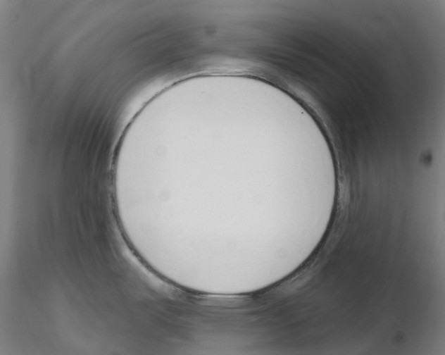 X0000115631487200912221238