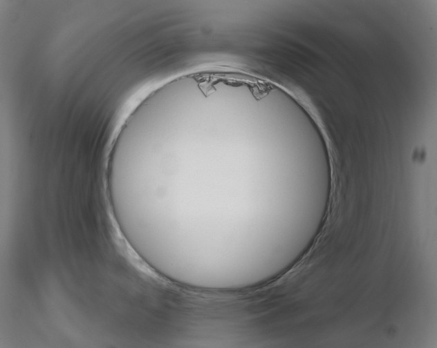X0000115631488200912221238