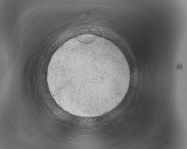 X0000115631489200912221238