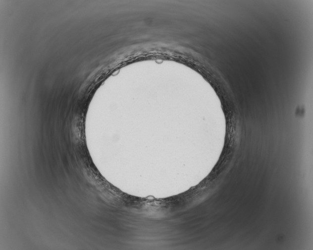 X0000115631490200912221238