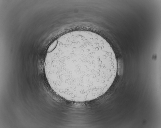 X0000115631491200912221238