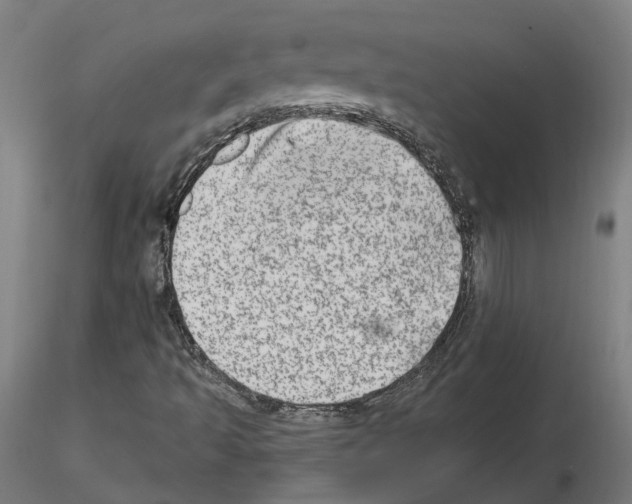 X0000115631493200912221238