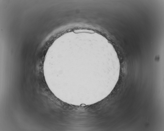 X0000115631495200912221238