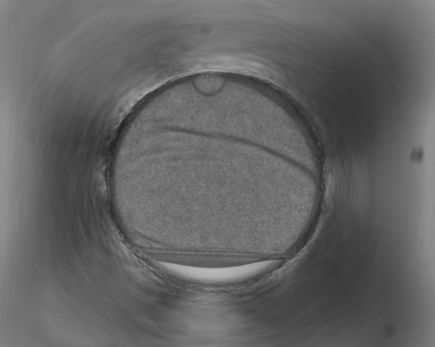 X0000115631497200912221238