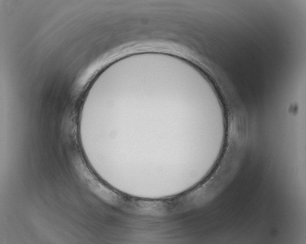 X0000115631498200912221238