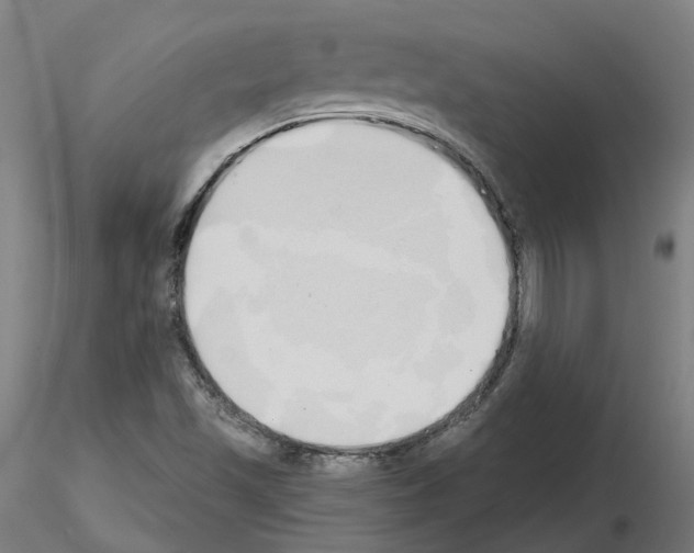 X0000115631501200912221238