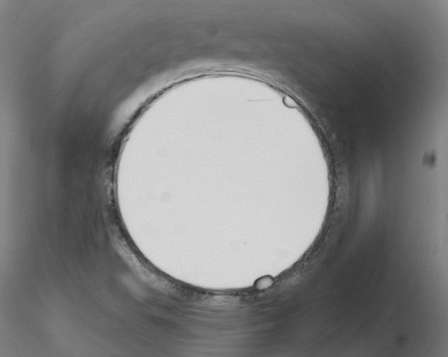 X0000115631503200912221238
