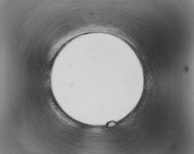 X0000115631507200912221238