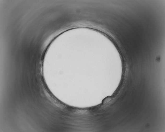 X0000115631509200912221238
