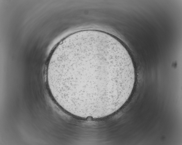 X0000115631510200912221238