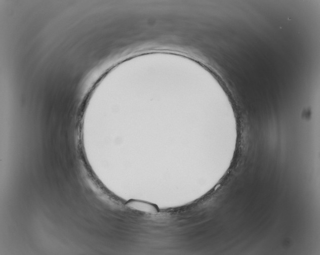 X0000115631511200912221238