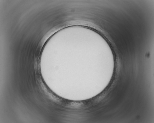 X0000115631513200912221238