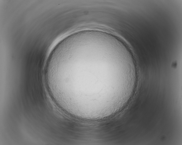X0000115631514200912221238