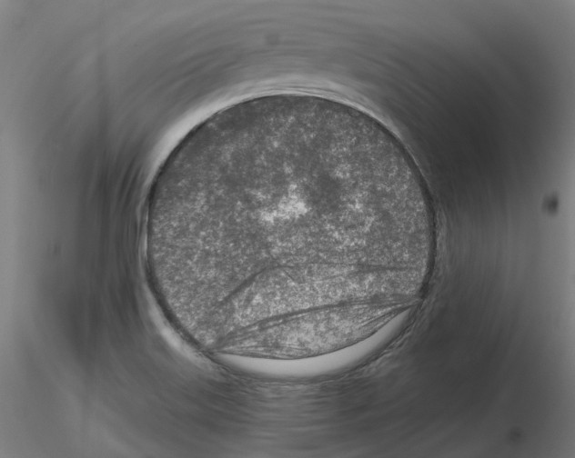 X0000115631515200912221238
