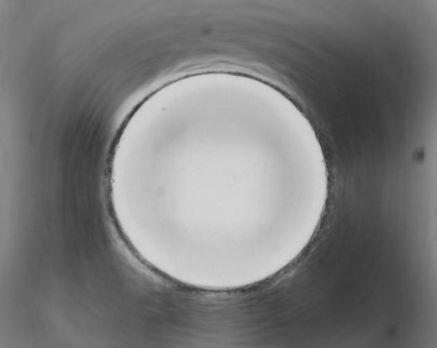 X0000115631518200912221238