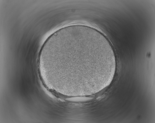 X0000115631519200912221238