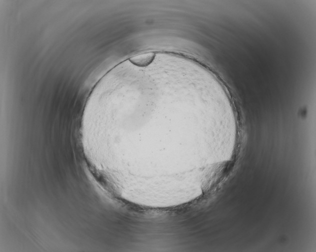 X0000115631521200912221238