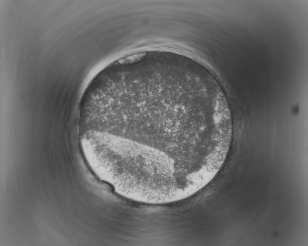 X0000115631522200912221238