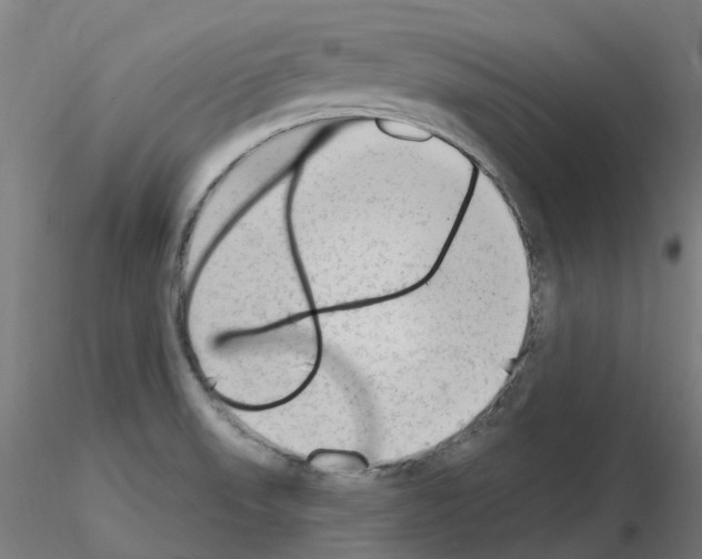 X0000115631523200912221238