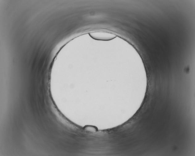 X0000115631526200912221238