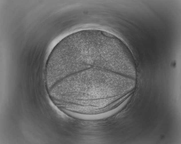 X0000115631527200912221238