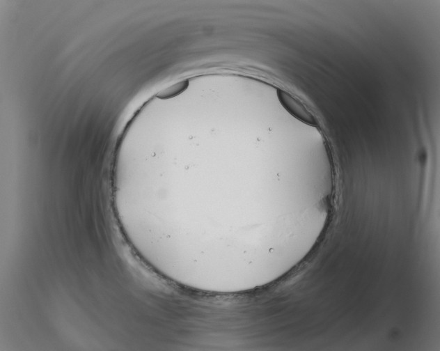X0000115631530200912221238