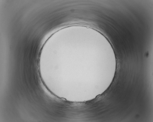 X0000115631531200912221238