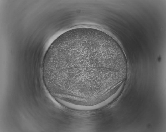 X0000115631533200912221238