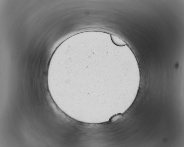 X0000115631534200912221238
