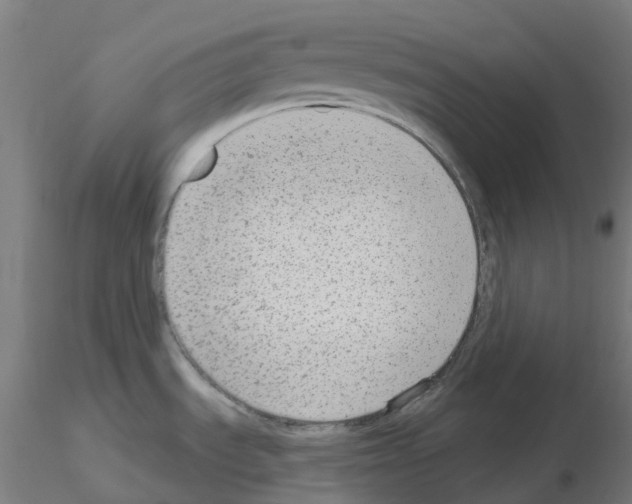 X0000115631535200912221238
