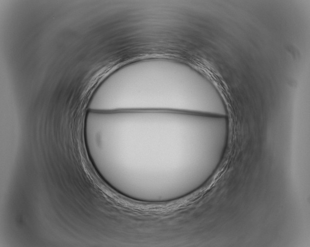X0000115640001200911101105