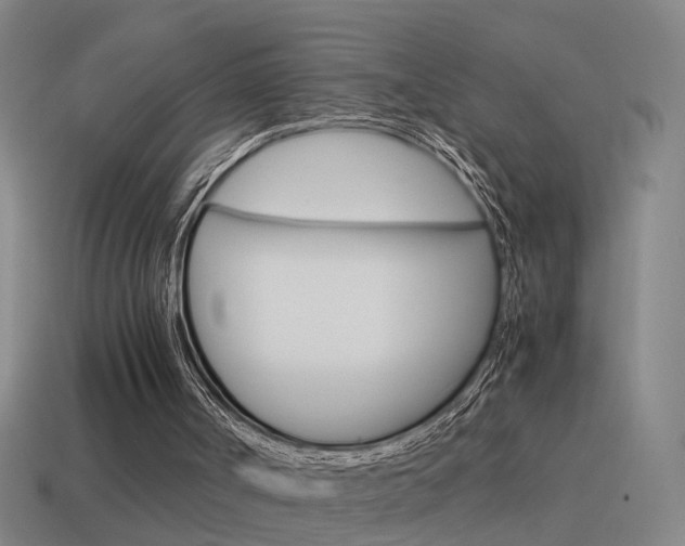 X0000115640002200911101105