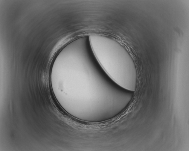 X0000115640004200911101105