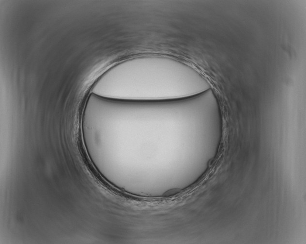 X0000115640005200911101105