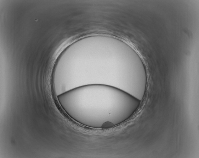 X0000115640007200911101105