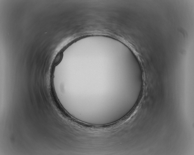X0000115640008200911101105