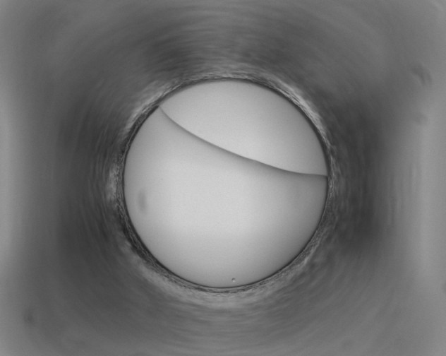 X0000115640010200911101105