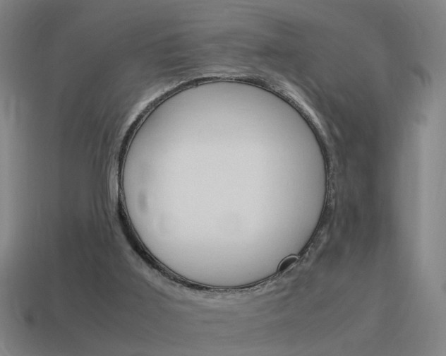 X0000115640011200911101105