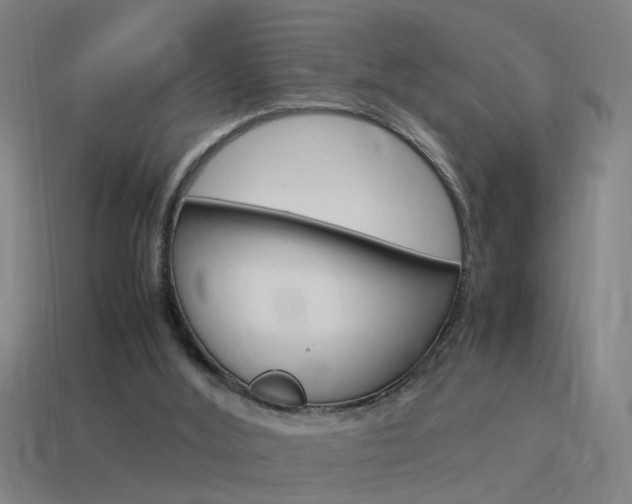 X0000115640012200911101105