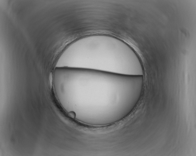 X0000115640013200911101105