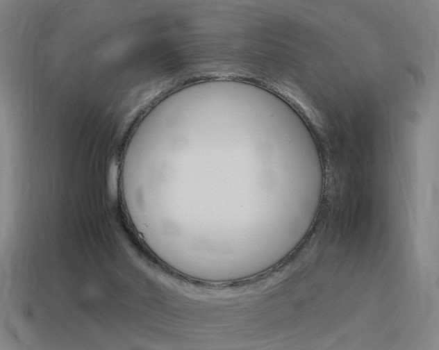 X0000115640014200911101105