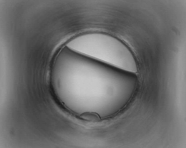 X0000115640016200911101105