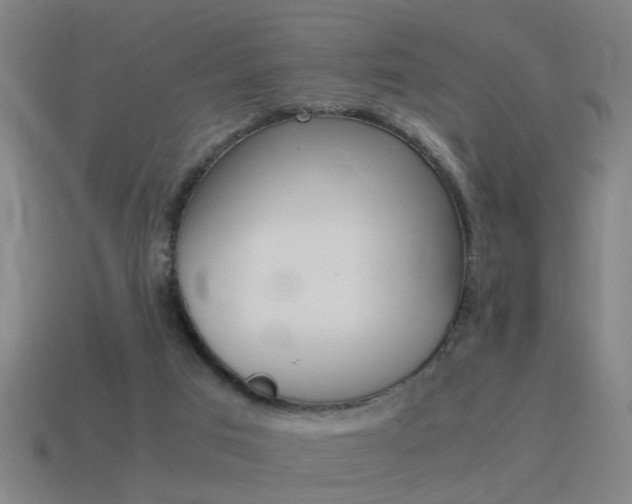 X0000115640017200911101105