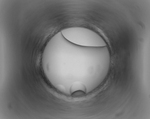 X0000115640018200911101105
