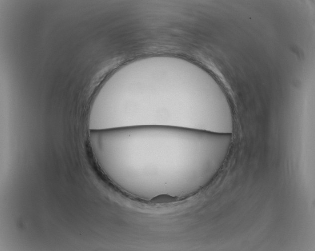 X0000115640019200911101105