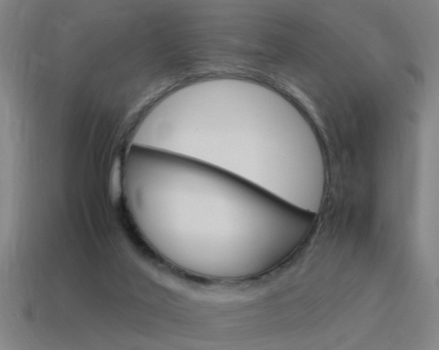 X0000115640020200911101105