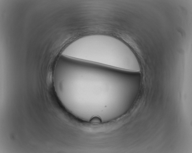 X0000115640021200911101105