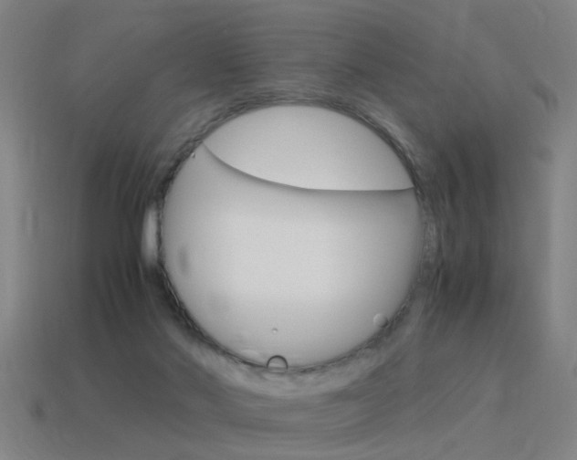 X0000115640022200911101105
