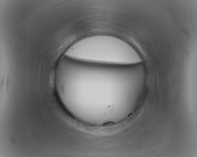 X0000115640023200911101105