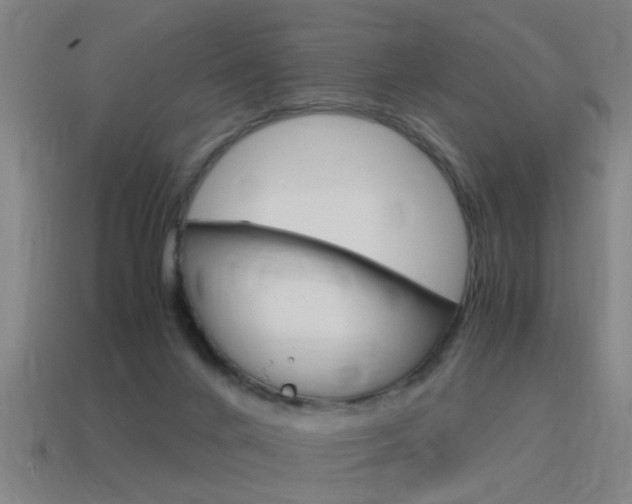 X0000115640024200911101105